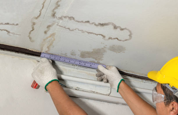 Reliable Mold Remediation contractor in Newburyport, MA by Local Water Damage Repair